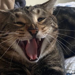 Meet your Posher, Pamela